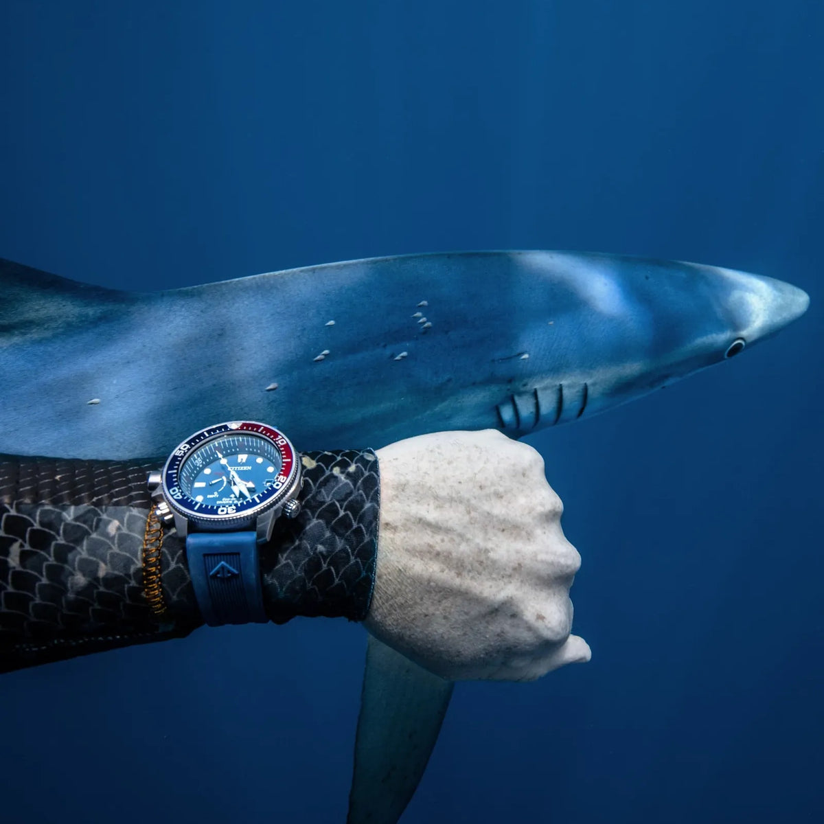 Relógio Citizen BN2038-01L Aqualand Eco-Drive 46.5mm Azul Homem