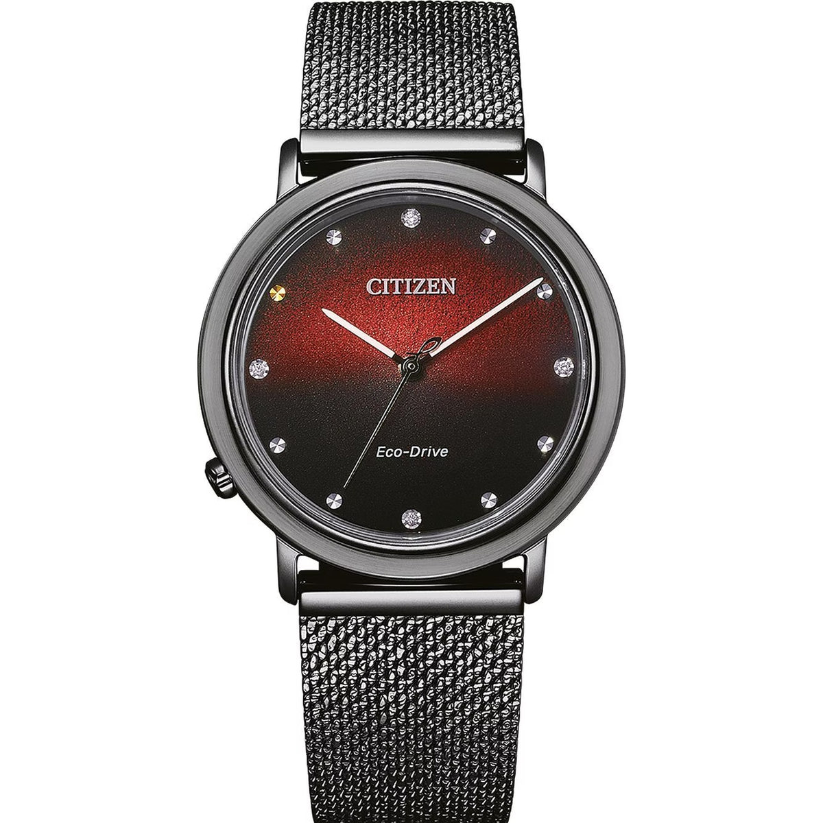 Citizen Uhr EM1007-47E