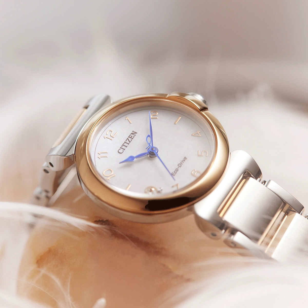 Reloj Citizen EM1136-87D Diamantes Eco-Drive 26mm Nácar Mujer