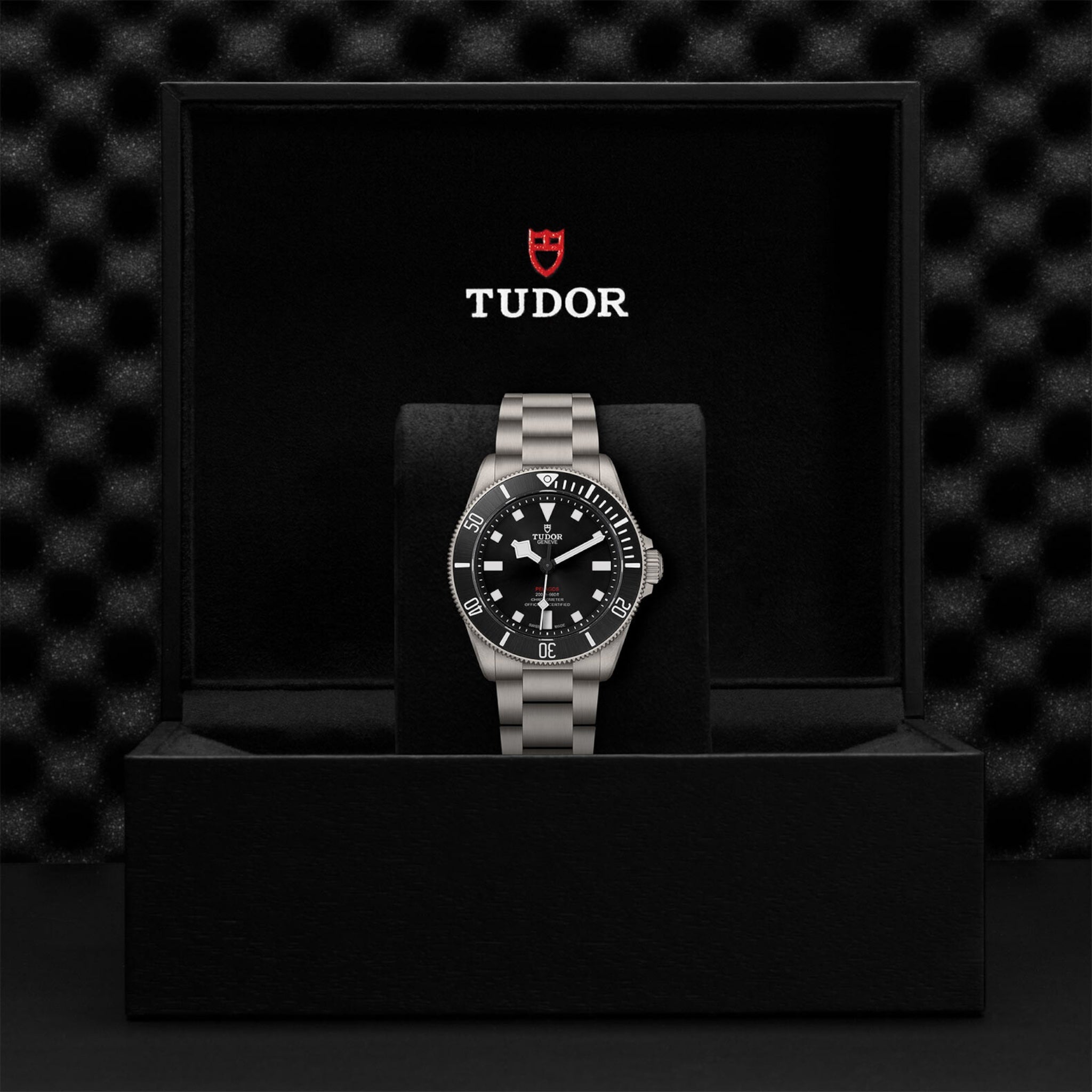 Montre Tudor Pelagos 39 Noir Titane M25407N