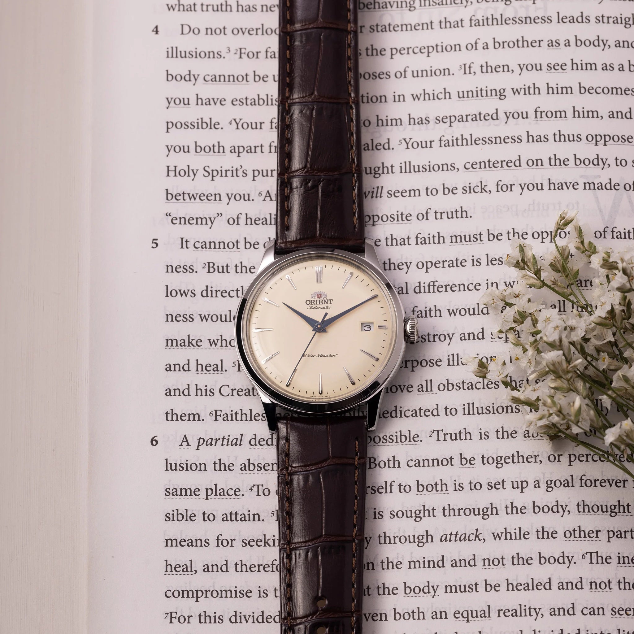 Montre Orient Bambino RA-AC0M04Y30B Ivoire Automatique
