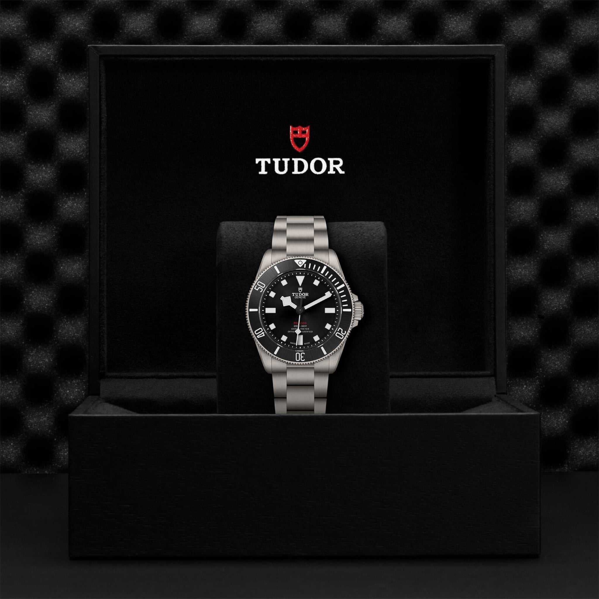Tudor Pelagos 39 Black Titanium Watch M25407N