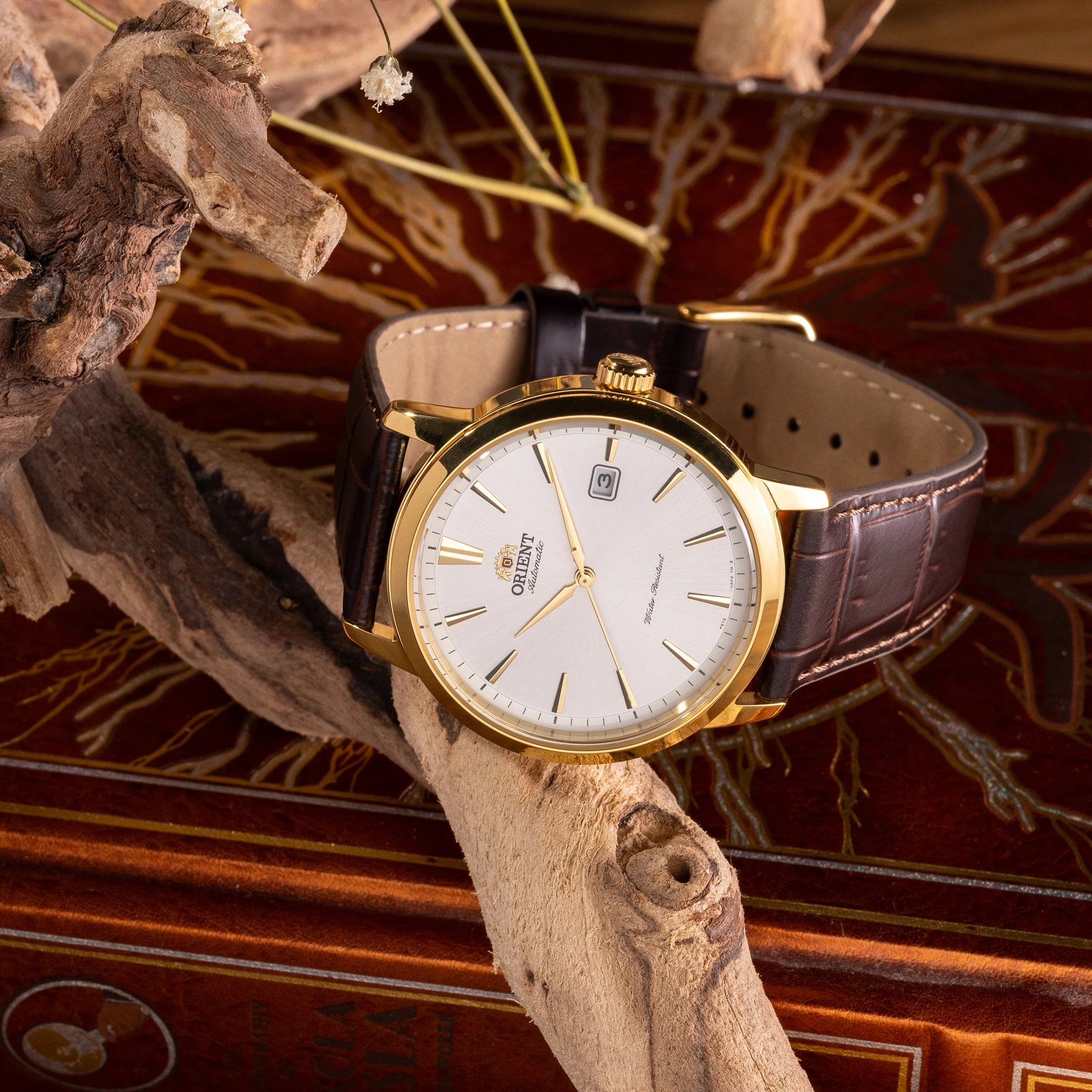 Montre Orient Contemporary RA-AC0F04S30B Doré Automatique